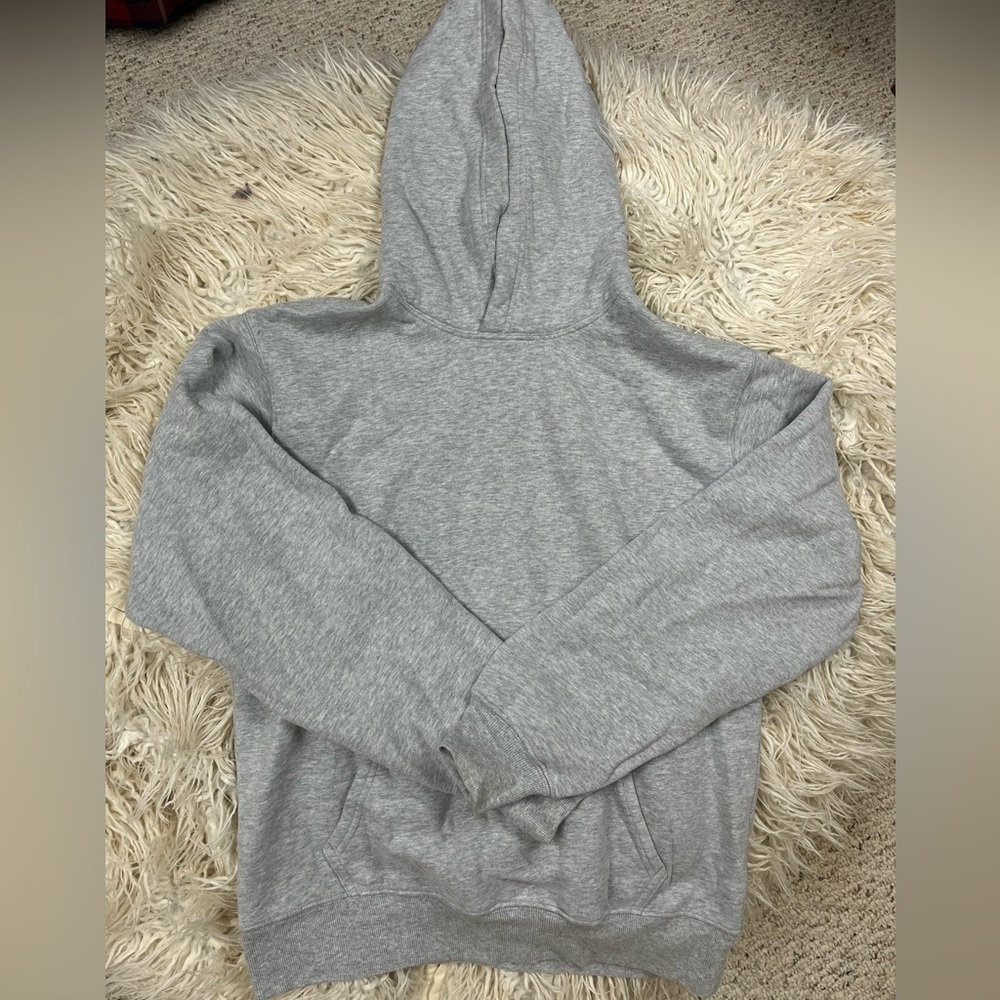 Aritzia Sweatfleece Hoodie